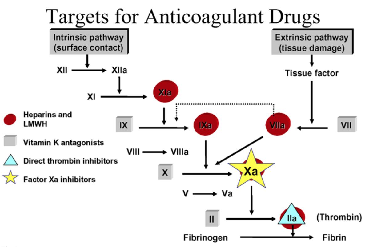 targets_for_anticoagulant_drugs